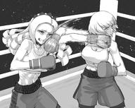 artist:rggr character:clementine_(overlord) character:solution_epsilon general:box general:boxing general:boxing_gloves general:boxing_ring // 1503x1200 // 1.1MB